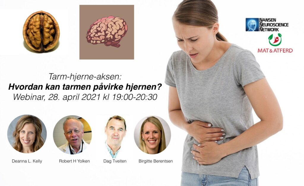 Tarm-hjerne-aksen: Hvordan kan tarmen påvirke hjernen?